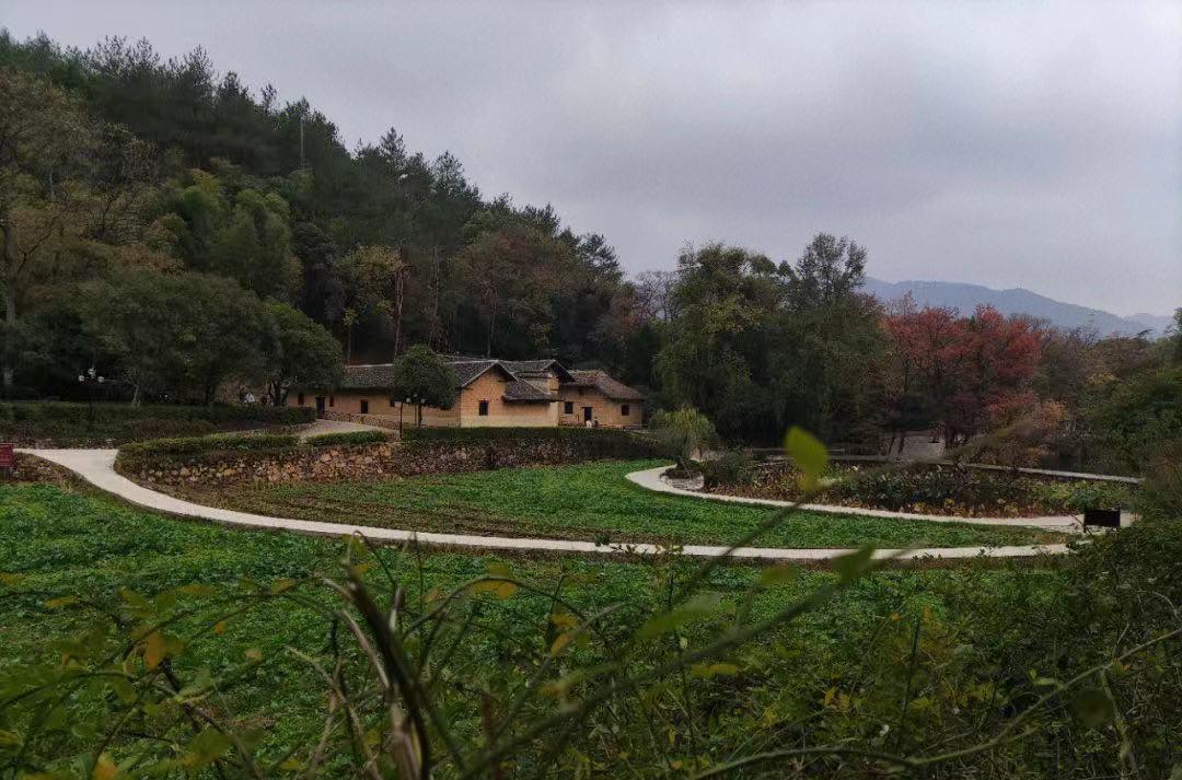 自駕開車攻略游戲_開車去自駕游攻略_開車自駕游攻略