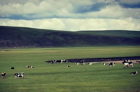 錦州到呼倫貝爾自駕游