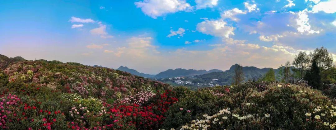 貴州旅游交通攻略_貴州旅游交通_貴州旅游自由行交通攻略