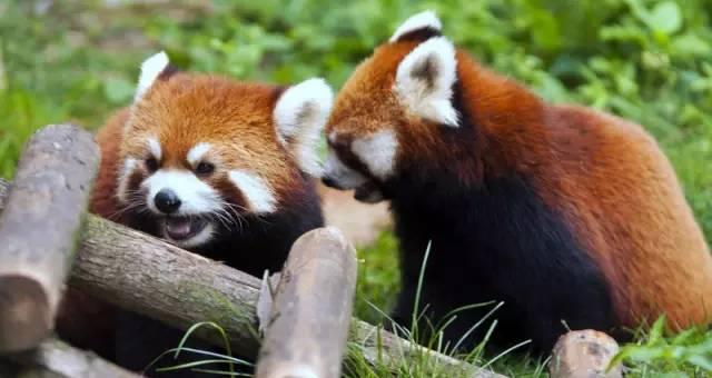 貴州旅游自由行交通攻略_貴州旅游交通_貴州旅游交通攻略