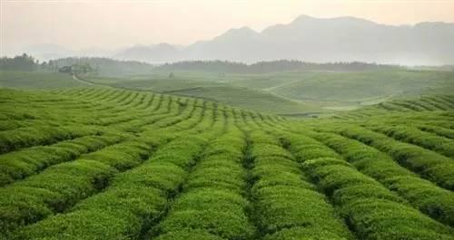 貴州旅游交通_貴州旅游交通攻略_貴州旅游自由行交通攻略