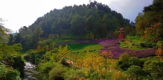 貴州旅游自由行交通攻略_貴州旅游交通攻略_貴州旅游交通