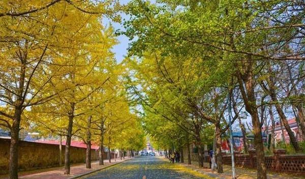 大連旅順旅游攻略