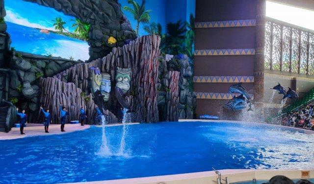 珠海自駕長隆游路線圖_珠海長隆自駕游_自駕珠海長隆攻略兩日游攻略