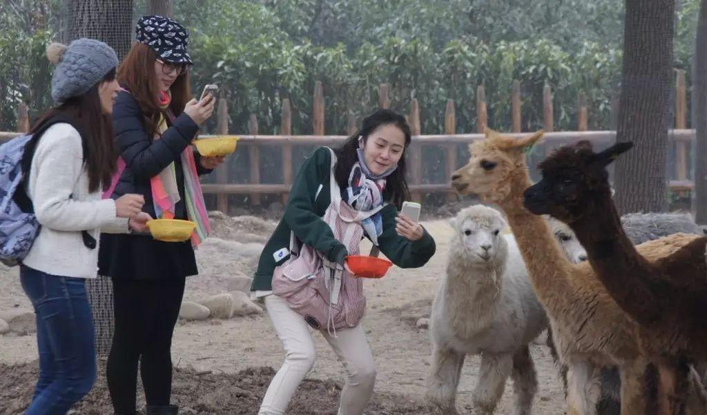 野生動(dòng)物園自駕游_自駕野生動(dòng)物園門(mén)票多少一張_野生動(dòng)物園自駕危險(xiǎn)嗎
