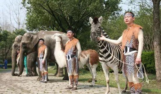 野生動(dòng)物園自駕游_野生動(dòng)物園自駕危險(xiǎn)嗎_自駕野生動(dòng)物園門(mén)票多少一張