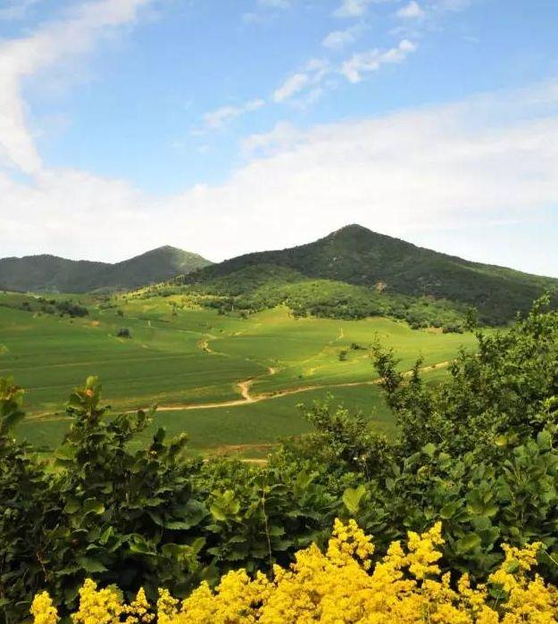 沈陽到溝幫子的火車_沈陽到溝幫子火車列車表_沈陽到溝幫子的火車列車時刻表