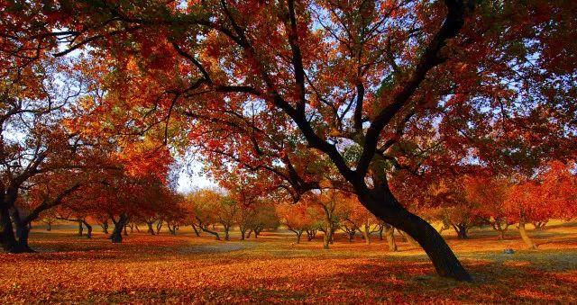 沈陽到溝幫子火車列車表_沈陽到溝幫子的火車_沈陽到溝幫子的火車列車時刻表