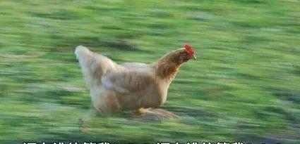 寨門票多少錢_寨壩旅游_石牛寨自駕游攻略