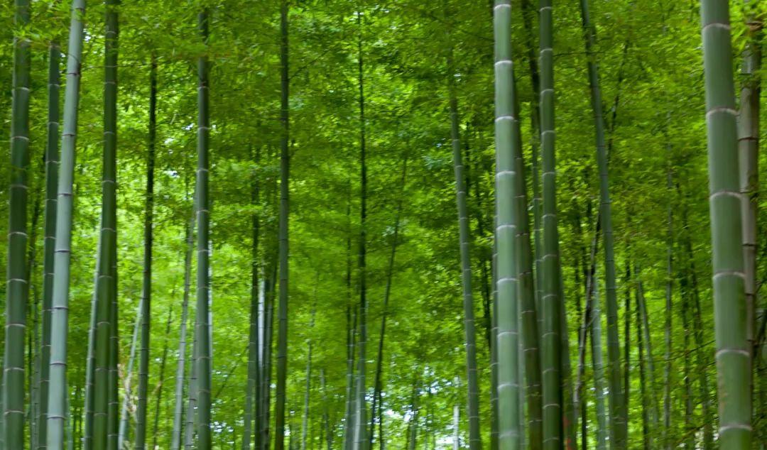 浙江省的旅游景點_浙江省旅游景點大全景點排名_浙江省旅游區景點