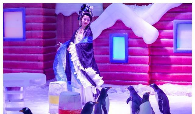 自駕駐馬店游最佳路線_駐馬店自駕游一日游_駐馬店自駕游