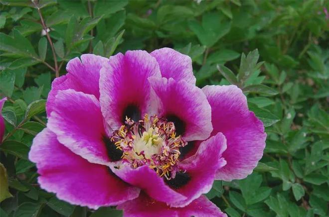 洛陽到武昌火車車次_洛陽到武昌坐火車多長時間_洛陽到武昌火車