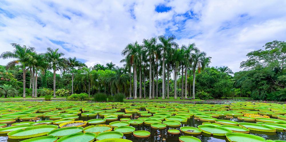 西雙版納國家級旅游度假區_西雙版納旅游度假區_西雙版納旅游指南