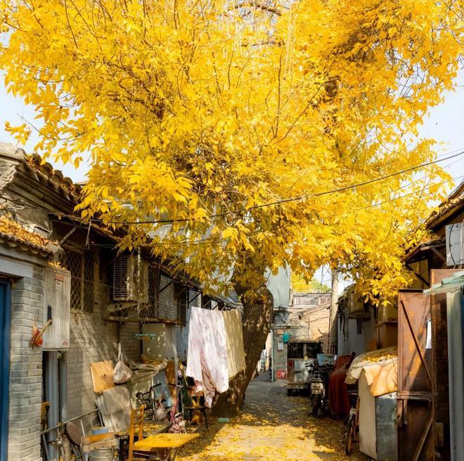 如何參加自駕游_自駕游參團_自駕游愛好者