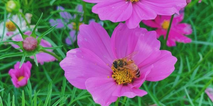 無錫淮安火車_無錫火車站到淮安_無錫到淮安火車票