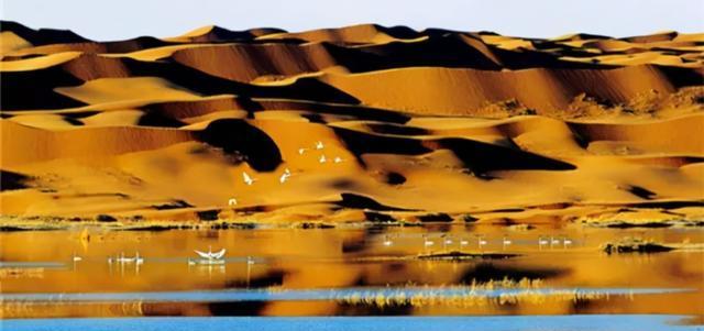 寧夏旅游局咨詢電話_寧夏旅游委_寧夏旅游局