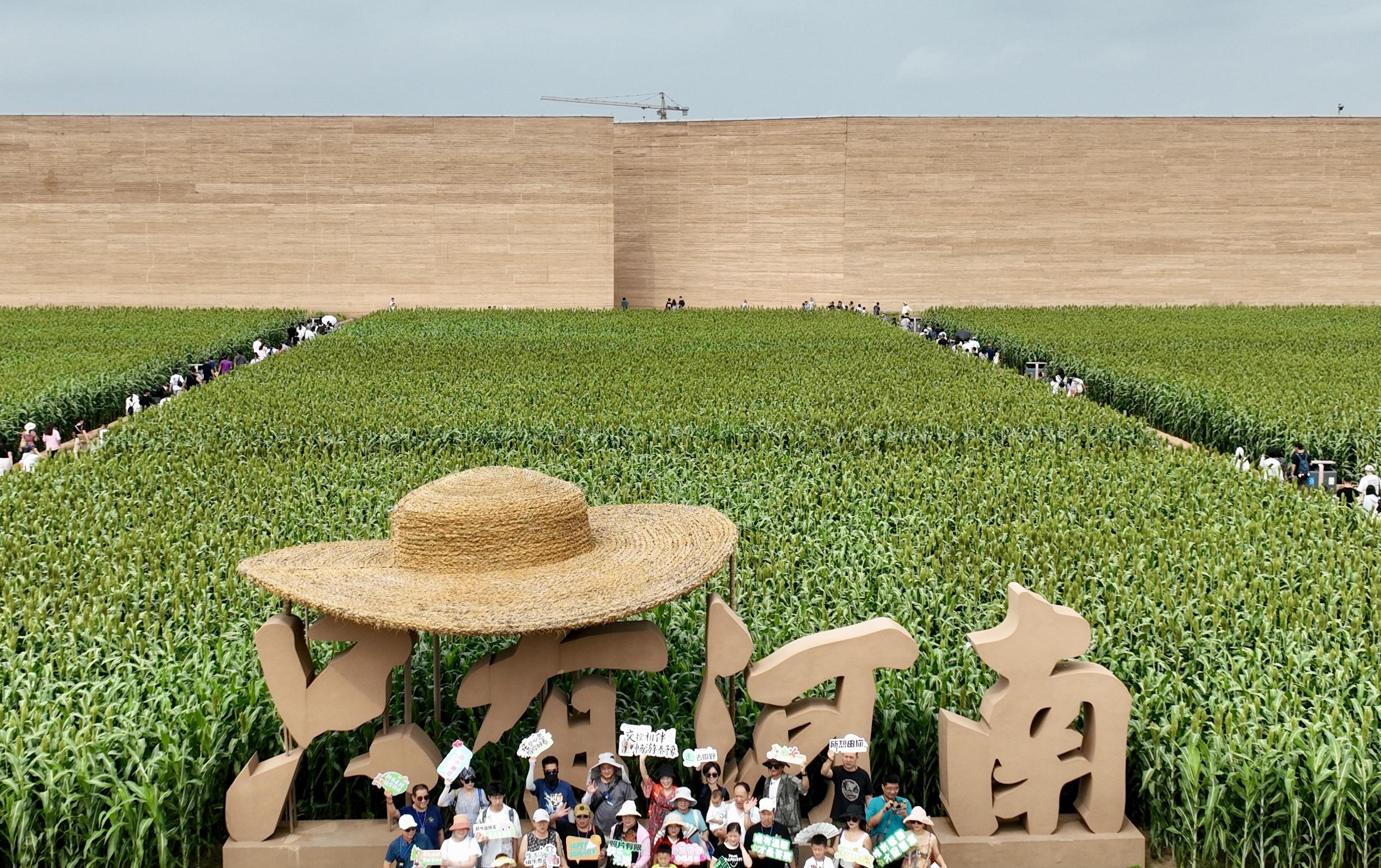 洛陽至運城列車之旅:穿越時空的奇遇,融合歷史與現代的奇妙體驗