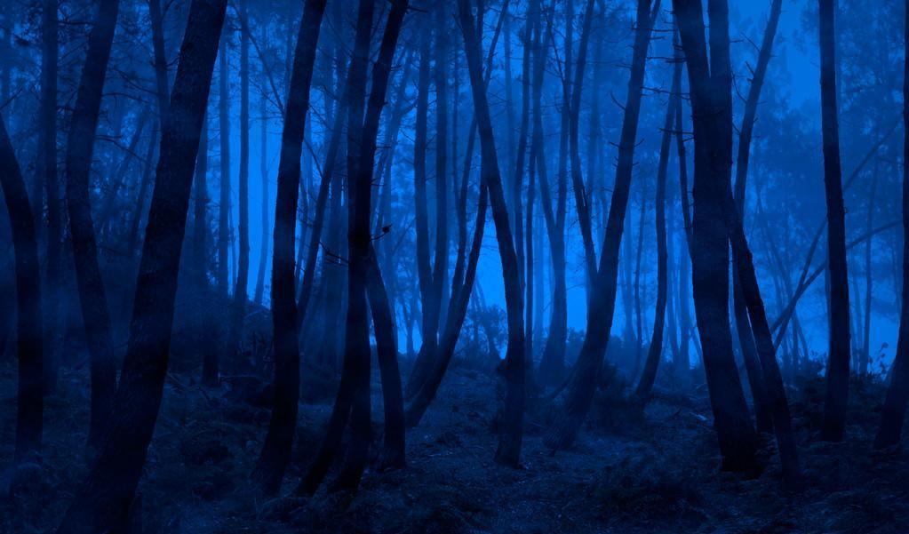 坐火車的感覺_火車坐著難受怎么辦_乘坐火車的感覺