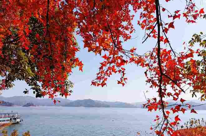 廣東河源五大旅游品牌_廣東河源旅游景點(diǎn)大全排名_廣東河源旅游