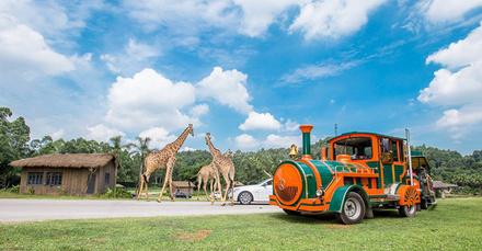 長隆水上樂園旅游路線_長隆水上樂園自駕游路線_長隆水上樂園開車去方便嗎