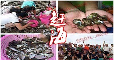 西安到北海火車_西安到北海火車多長時間能到_北海到西安火車票