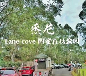 去澳洲旅游攻略_澳洲游玩攻略_澳洲攻略旅游去哪里好玩