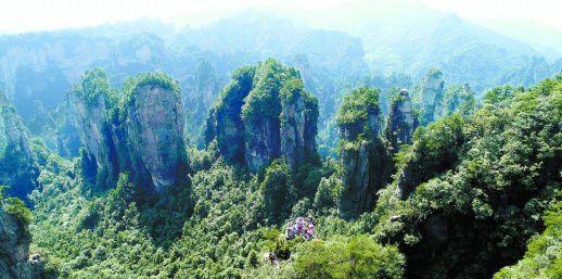 張家界到岳陽(yáng)自駕游_岳陽(yáng)張家界多少公里_自駕張家界岳陽(yáng)游到長(zhǎng)沙攻略
