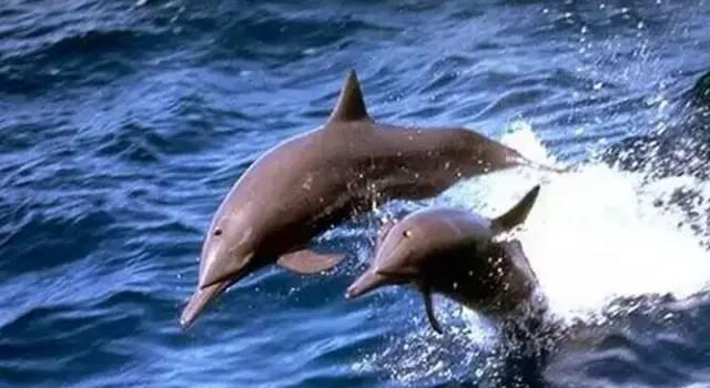 桂平西山自駕游_自駕西山游桂平路線_自駕西山游桂平攻略