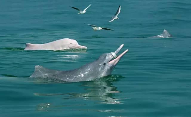 自駕西山游桂平路線_自駕西山游桂平攻略_桂平西山自駕游