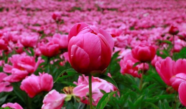 二日一夜自駕游_自駕游一日游_自駕游1天