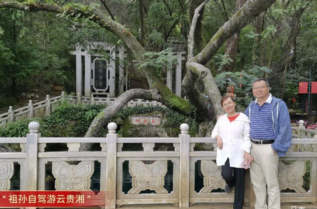 蒼山游玩路線_蒼山自駕路線圖_自駕游蒼山