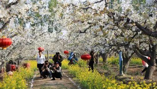 晉州周邊一日游_晉州旅游景點一日游_晉州自駕游