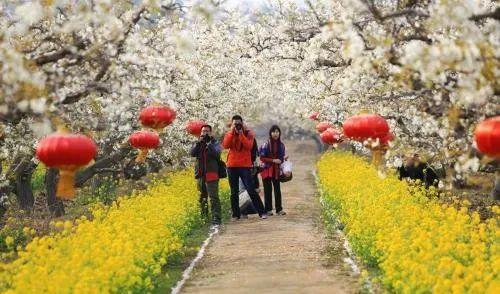 晉州旅游景點一日游_晉州自駕游_晉州周邊一日游