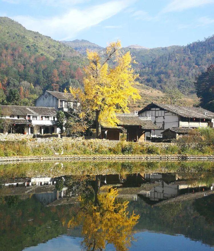 楠溪江徒步攻略_自駕楠溪江一日游攻略_楠溪江自駕游攻略
