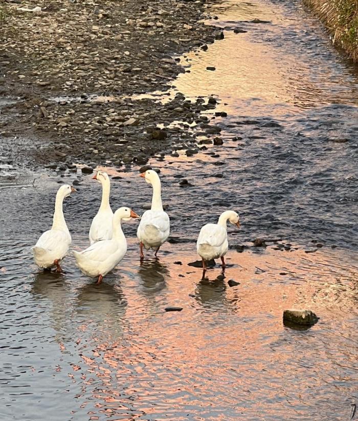 梅關(guān)古道自駕游_梅關(guān)古道好玩嗎_梅關(guān)古道游記