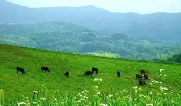 北京去豐寧壩上草原自駕游攻略