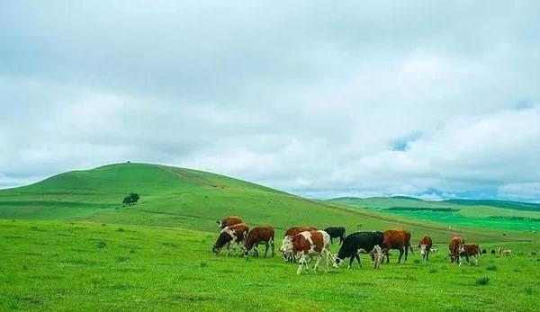 北京去豐寧壩上草原自駕游攻略
