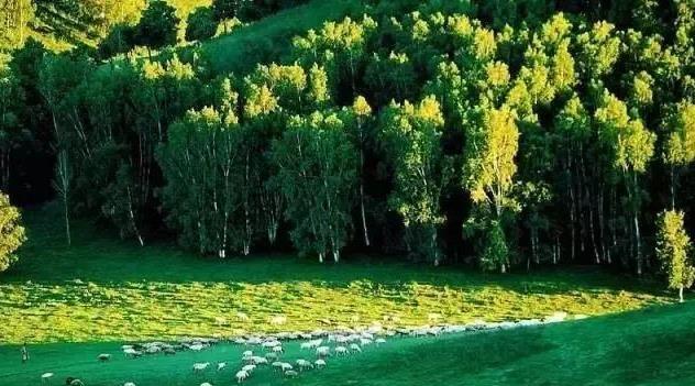 北京去豐寧壩上草原自駕游攻略