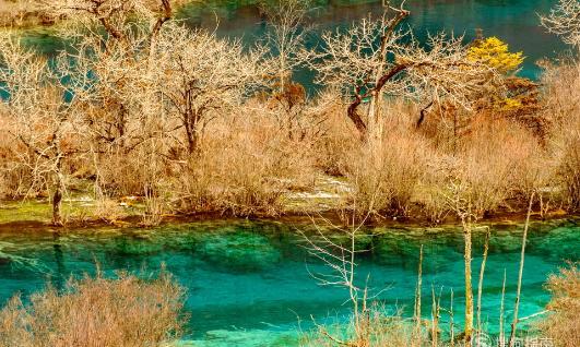 九寨溝旅游去藏家吃飯_怎樣去九寨溝旅游_九寨溝旅游去幾天