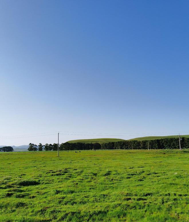 張北壩上旅游景點(diǎn)_張北壩上草原自駕攻略_張北壩上自駕游