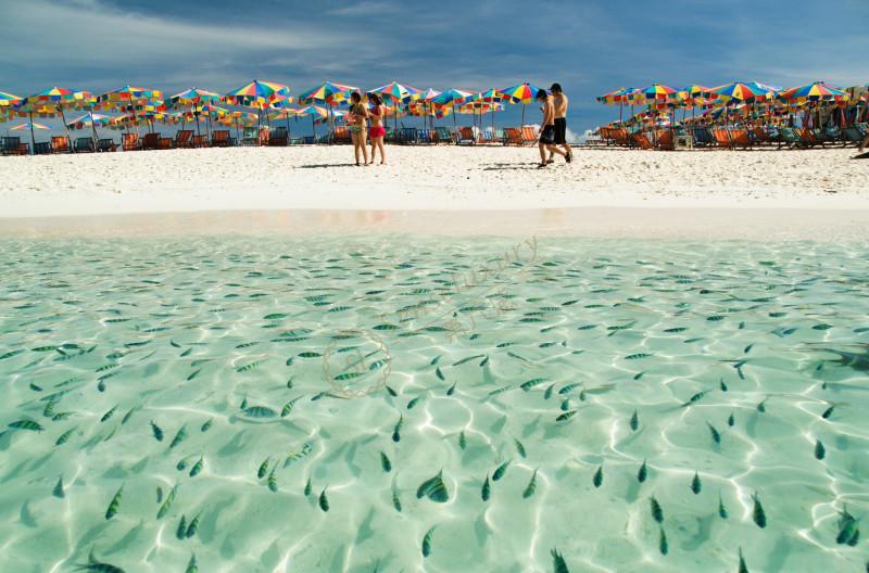 普吉島旅游預算_普吉島旅游費用_普吉島跟團多少錢
