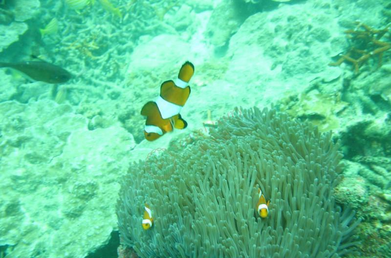普吉島跟團多少錢_普吉島旅游費用_普吉島旅游預算