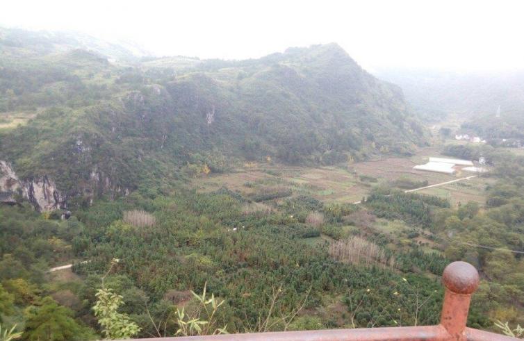 桂林自駕游_桂林自駕游景點_桂林自駕景點游玩攻略