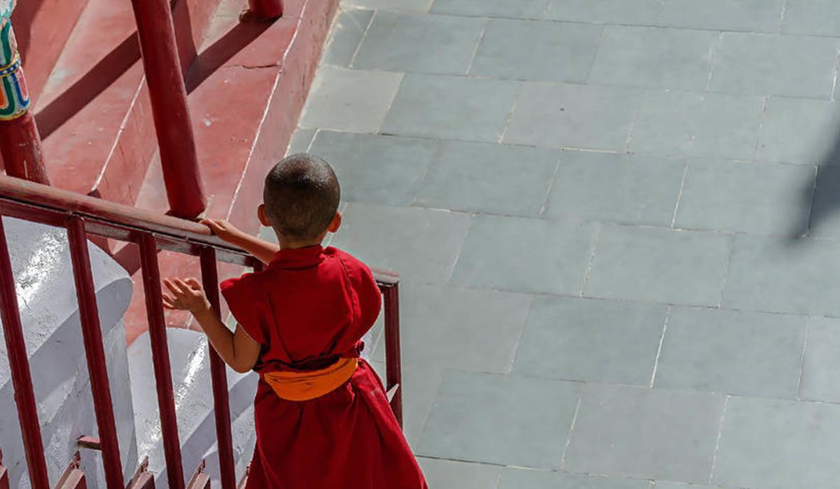 臥龍保護區自駕游_臥龍自然保護區旅游_臥龍生態保護區自駕游