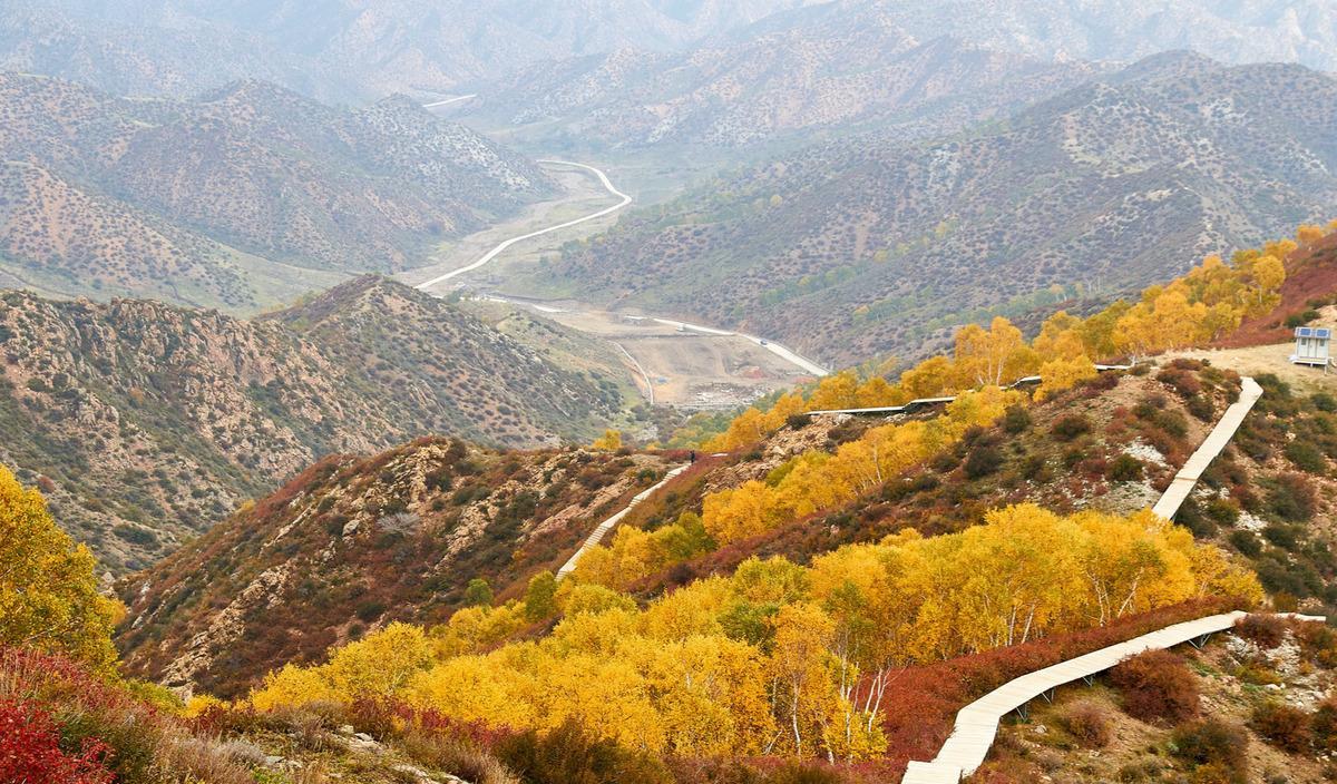 臥龍自然保護區旅游_臥龍生態保護區自駕游_臥龍保護區自駕游