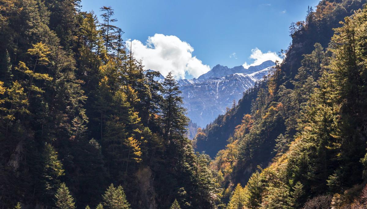 臥龍自然保護區旅游_臥龍保護區自駕游_臥龍生態保護區自駕游