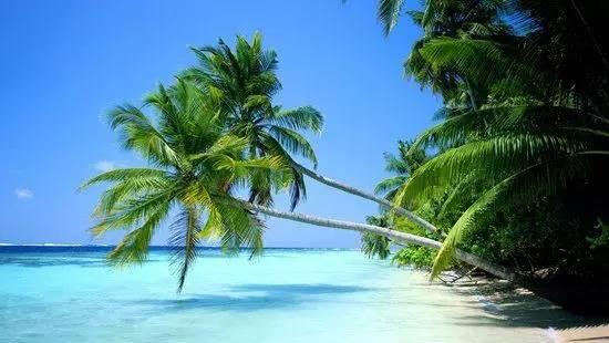 蘇州自駕成都攻略_蘇州成都自駕游_蘇州自駕成都沿途求景點