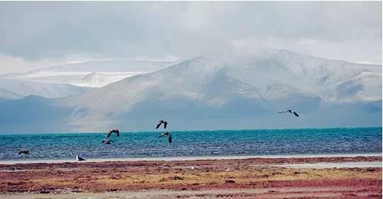 蘇州成都自駕游_蘇州自駕成都沿途求景點_蘇州自駕成都攻略