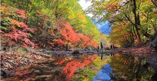 蘇州成都自駕游_蘇州自駕成都沿途求景點_蘇州自駕成都攻略