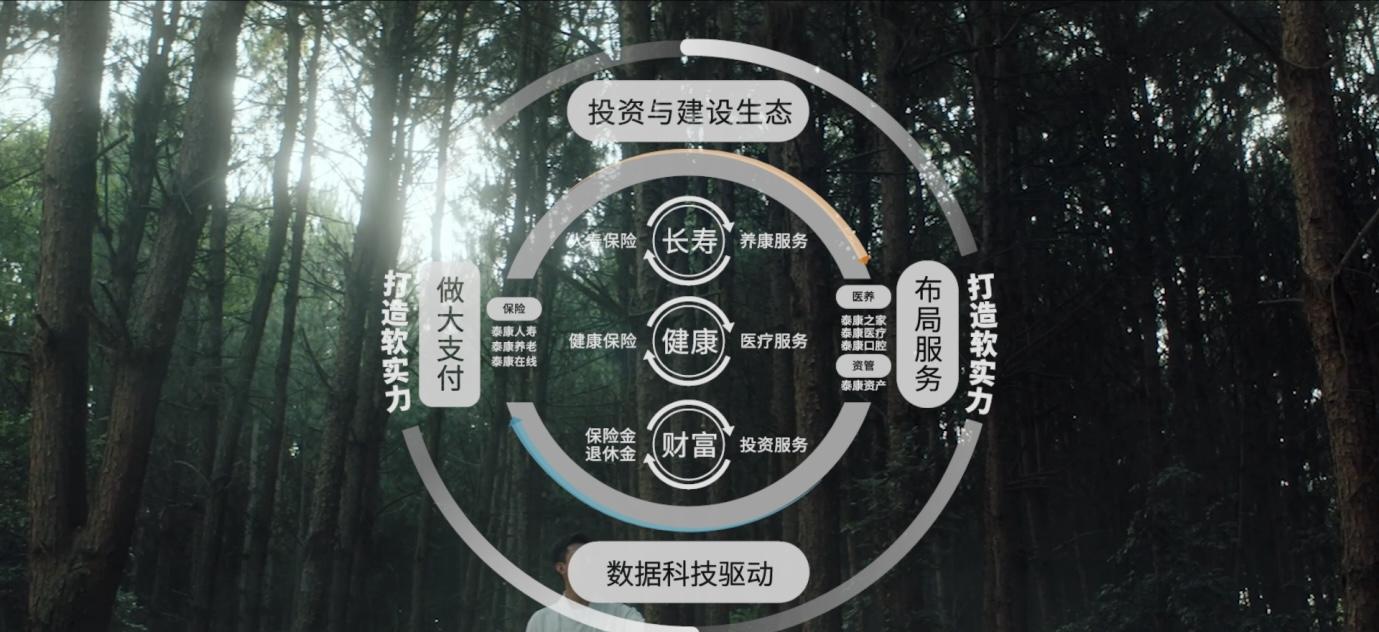 旅游保險公司_保險公司的旅游_保險旅游公司排行榜